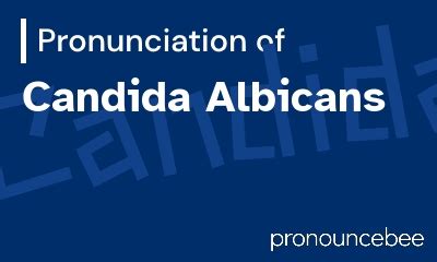 pronounce candida|More.